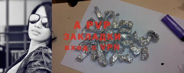 ГАЛЛЮЦИНОГЕННЫЕ ГРИБЫ Заволжье