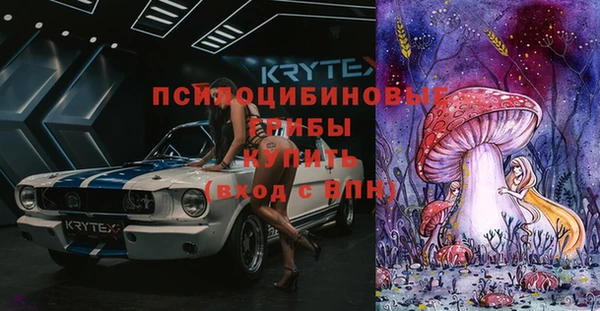 ГАЛЛЮЦИНОГЕННЫЕ ГРИБЫ Заволжье
