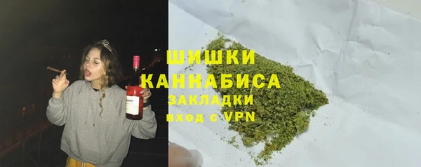 ГАЛЛЮЦИНОГЕННЫЕ ГРИБЫ Заволжье