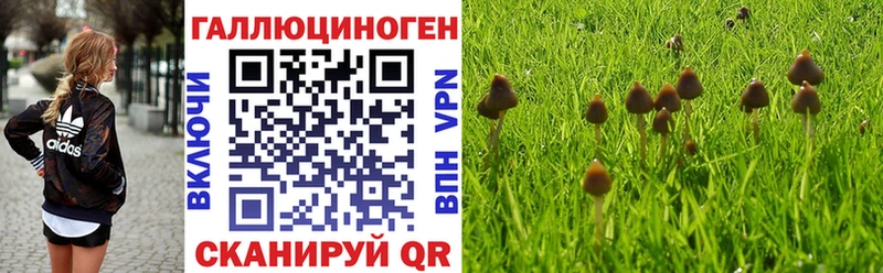 Псилоцибиновые грибы GOLDEN TEACHER  продажа наркотиков  Удомля 
